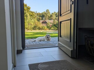 Ferienhaus Winsen (Aller)  12