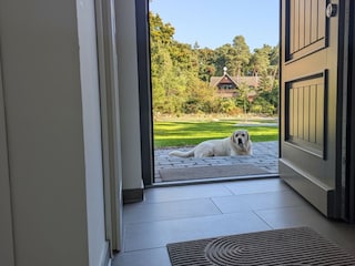 Ferienhaus Winsen (Aller) Ausstattung 19