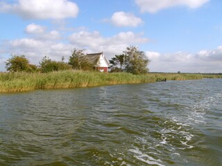 Saaler Bodden / Neuendorfer Bülten