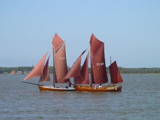 Zessenboote auf dedm