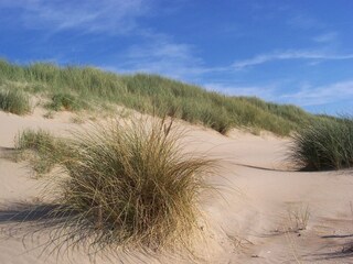 Casa per le vacanze Julianadorp Ambiente 37