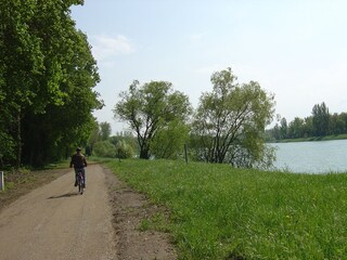 Fahrradweg direkt am Rhein entlang