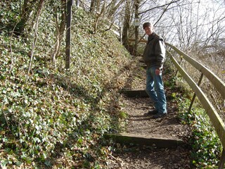 Zur Limburg Wanderwege