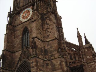 Freiburger Münster