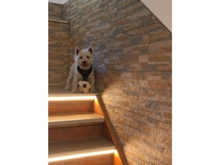 Appartamento per vacanze Sölden Ambiente 20