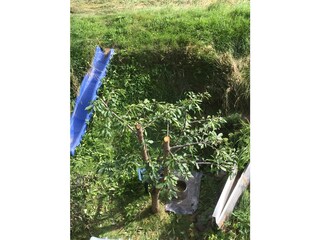 Casa per le vacanze Sölden Registrazione all'aperto 3