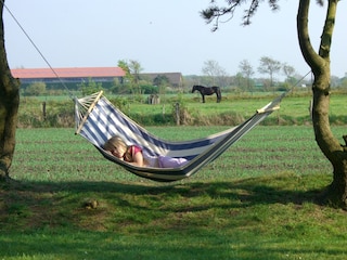Ausblick direkt in die Natur