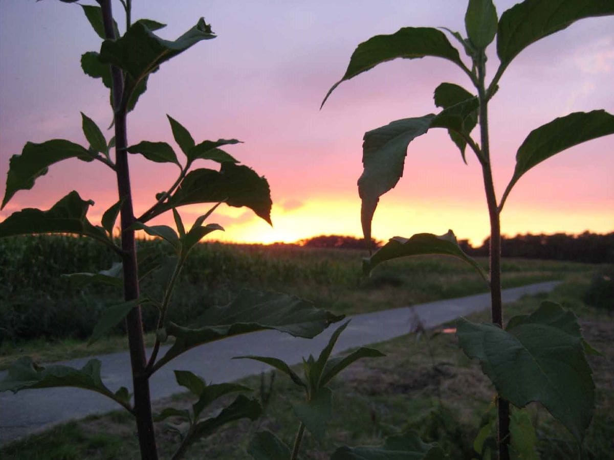 Sonnenuntergang