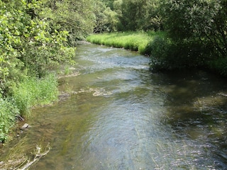 Apartment Hallenberg Environment 13