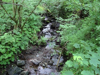 Apartment Hallenberg Environment 14