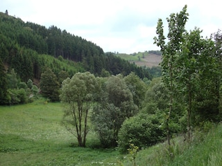 Apartment Hallenberg Environment 17