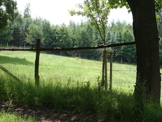 Apartment Hallenberg Environment 25