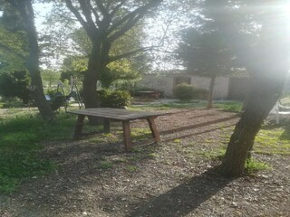 Casale Montfalcó Murallat Ambiente 31