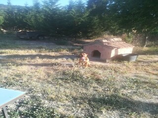 Type de propriété : Chalet Montfalcó Murallat Environnement 30