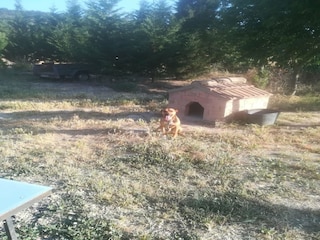 Vakantiehuisje Montfalcó Murallat Omgeving 26