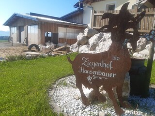 Fattoria Mattsee Registrazione all'aperto 5