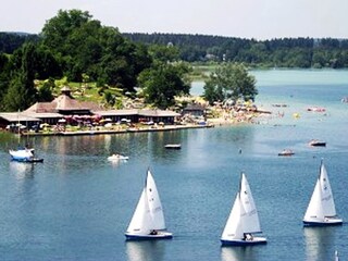 Fattoria Mattsee Ambiente 24