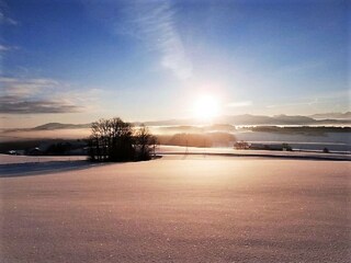 Fattoria Mattsee Ambiente 25