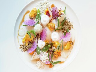 Vakantiepark Wemeldinge Omgeving 20