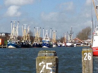 Büsumer Hafen