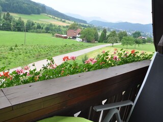 Appartement de vacances Zell am Harmersbach Environnement 9