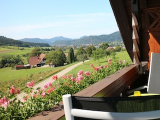Appartement de vacances Zell am Harmersbach Environnement 7