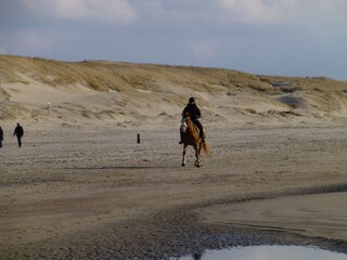 Dünen und Strand