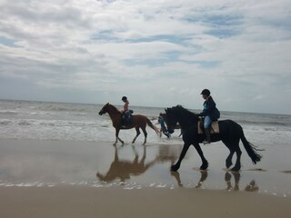 Ausritt am Strand