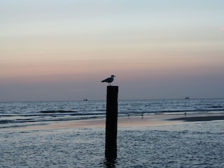 Abendstimmung am Meer