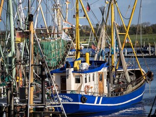 Appartamento per vacanze Greetsiel Ambiente 25