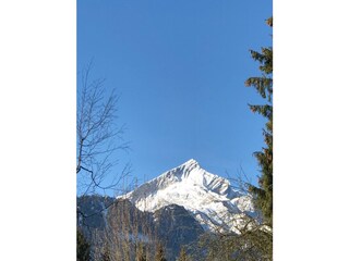 Alpspitzblick schön  Enzian