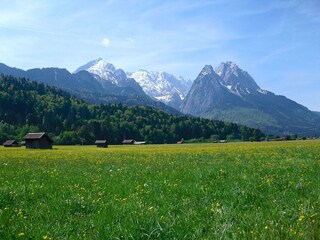 Frühlings-Blumenwiese in unserer Nähe