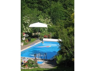 Blick auf den Pool