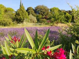 Casa de vacaciones Bagnols-sur-Cèze Grabación al aire libre 6