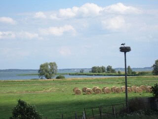 Blick von der Terrasse