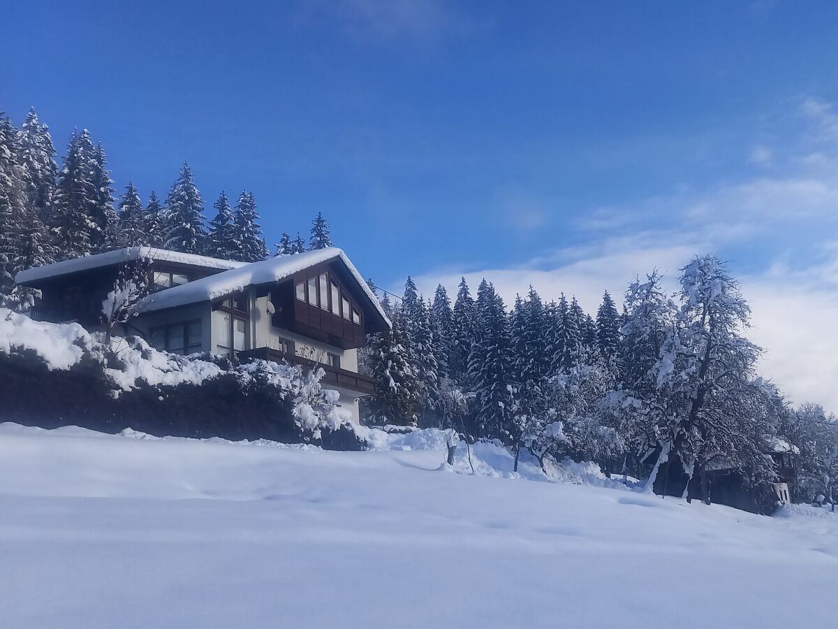 Ferienhaus Waldhof mit Wiese davor im Winter