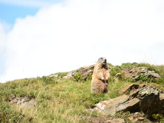 Appartement Hermagor Omgeving 30