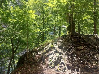 Appartamento Hermagor Ambiente 31