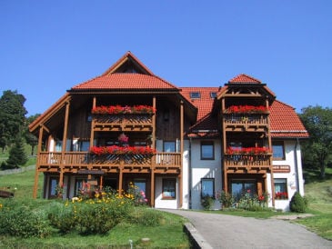 Holiday apartment Heubühl