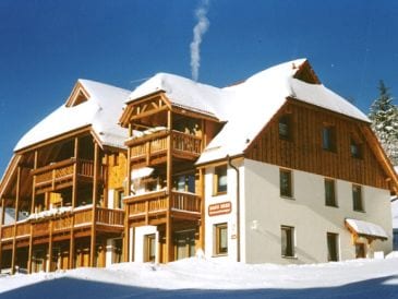 Holiday apartment Heubühl