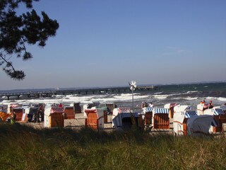Blick auf den Strand und das Wasser
