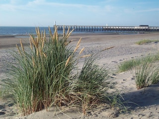 Strand mit Sicht auf Blankenberge