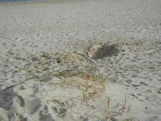 Holiday apartment Horumersiel Environment 35