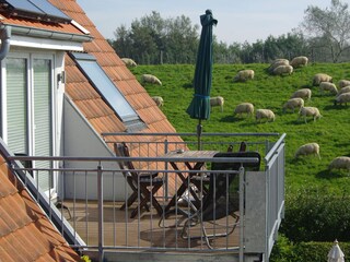 Holiday apartment Horumersiel Outdoor Recording 7