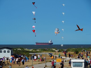 Holiday apartment Horumersiel Environment 32