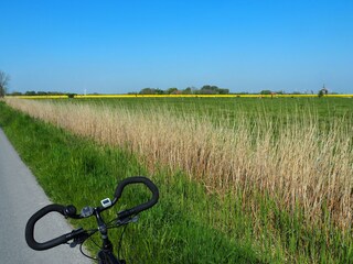 Holiday apartment Horumersiel Environment 31