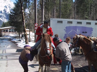 reiten
