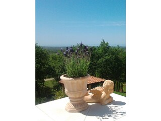 Casa per le vacanze Kastelir Registrazione all'aperto 2