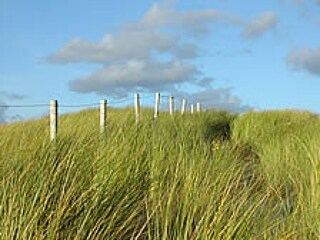 Casa per le vacanze Julianadorp Ambiente 20