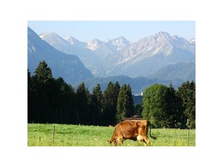 Oberstdorfer Bergkulisse